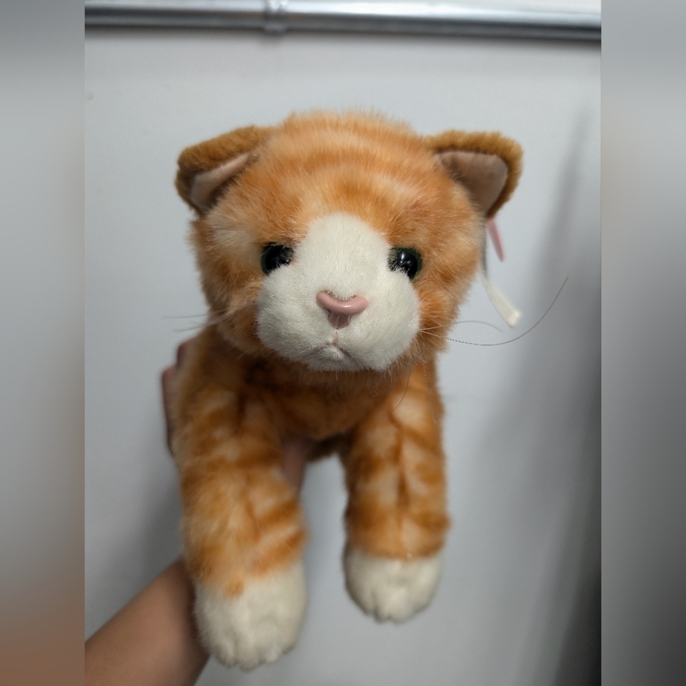 Beautiful orange tabby cat, tags attached but aged.